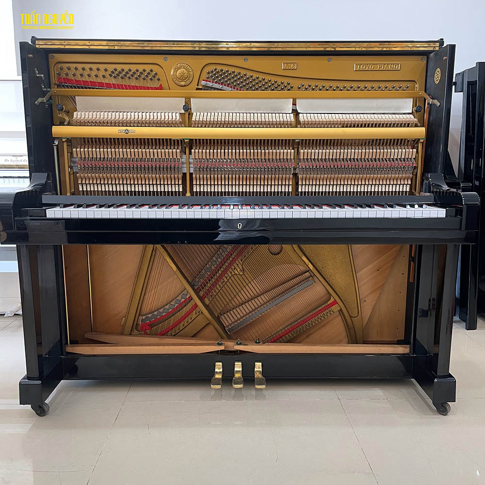 dan piano apollo a6 anh thuc te