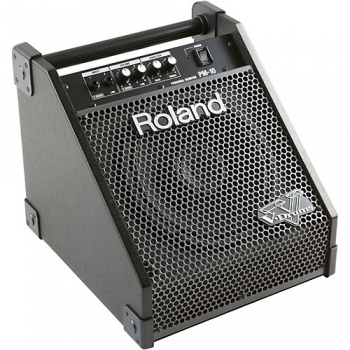 Roland PM-10