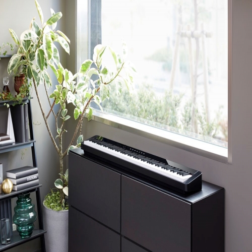 Casio Privia Piano PX-S1000