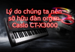 Lý do chúng ta nên sỡ hữu đàn organ Casio CT-X3000